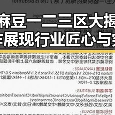 国产麻豆一二三区大揭秘：新作展现行业匠心与突破