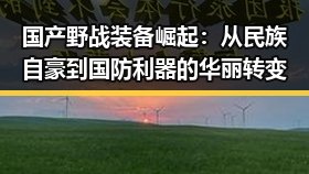国产野战装备崛起：从民族自豪到国防利器的华丽转变